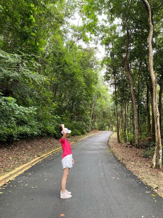 Relaxing Walk at Air Itam Dam, Penang 🇲🇾