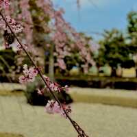 西尾市歴史公園