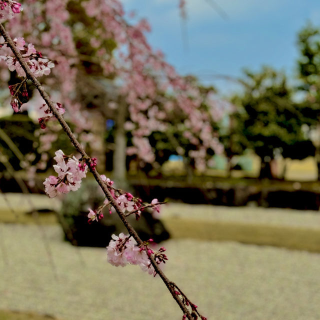 西尾市歴史公園