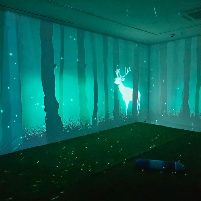 무료로 데이트를 즐길 수 있는 실내데이트❤️