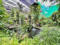 Kuala Lumpur Butterfly Garden