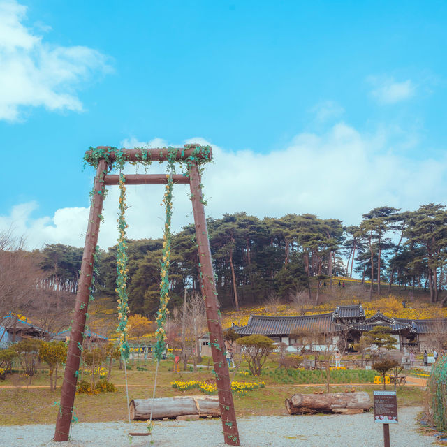 수선화 동산이 있는 4월 명소“서산 유기방가옥”