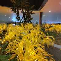 Colourful LED lights backdrop