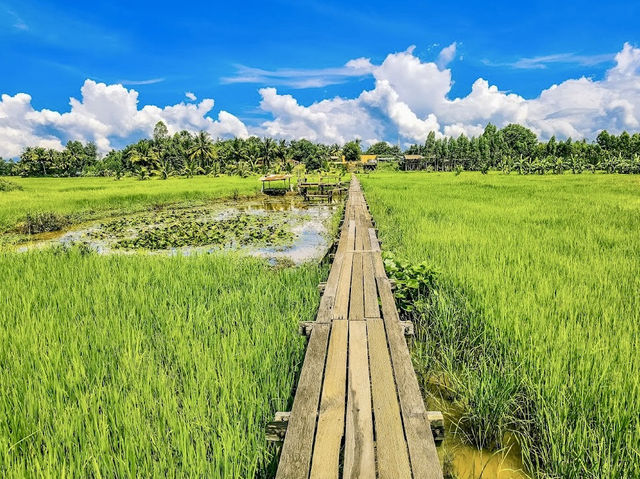 100 Years Old Wooden Bridge