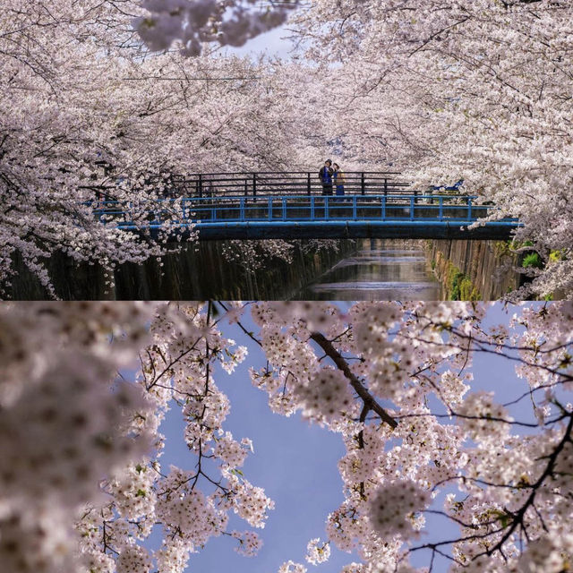 Shakuji river