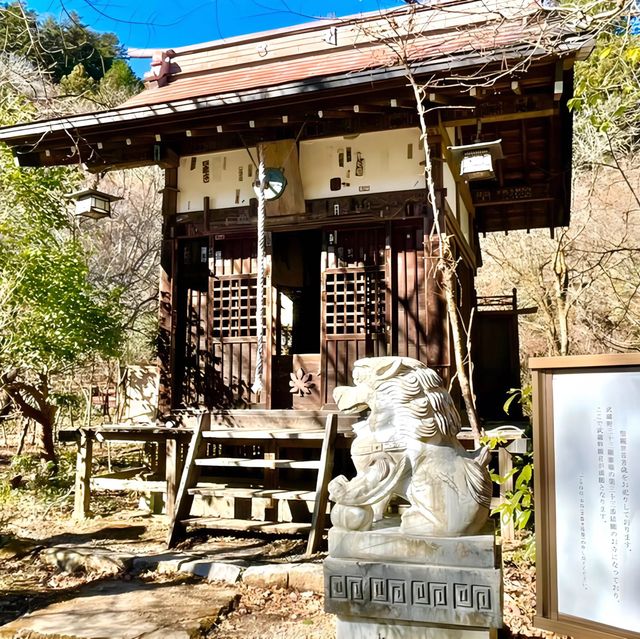 【医王山薬寿院 八王寺/埼玉県】ユーモラスな願いを叶える⁉︎寺院