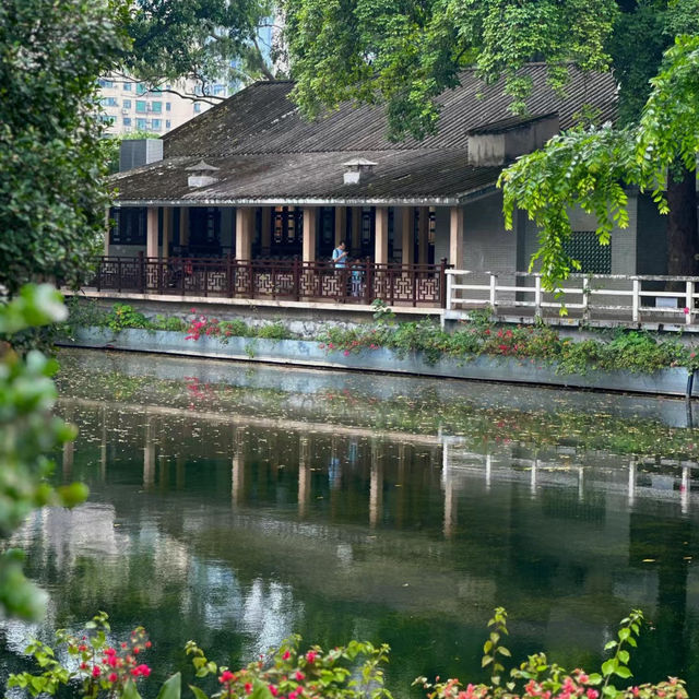 澳門花城公園：花海中的寧靜與美麗 🌺🌳