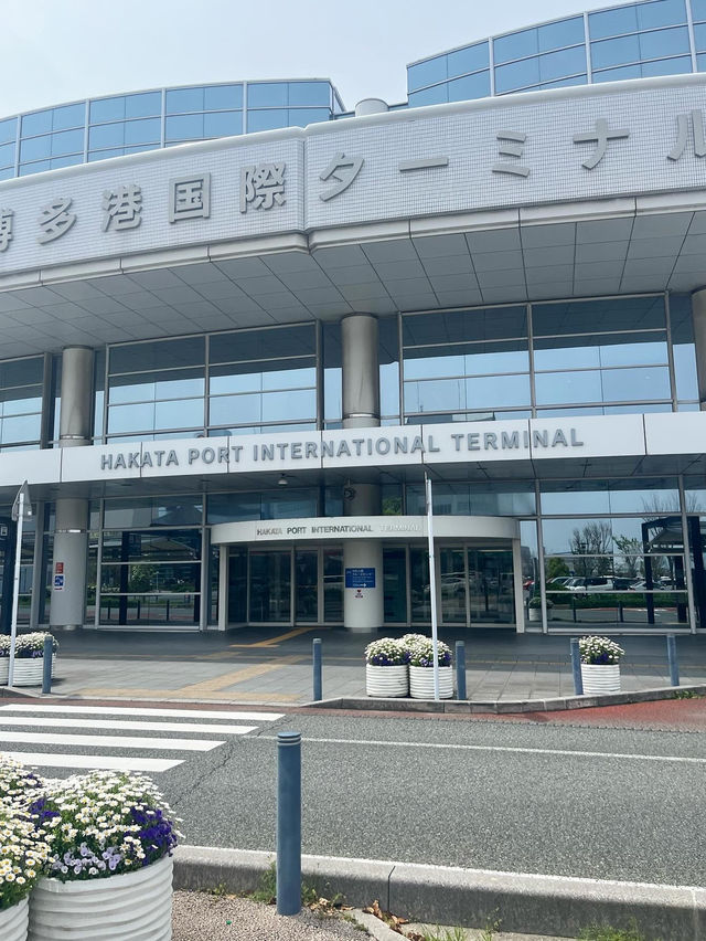 【釜山旅行】ニューカメリアで行く釜山の旅🚢