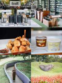 แจกแพลนเที่ยวเขาใหญ่ - วังน้ำเขียว