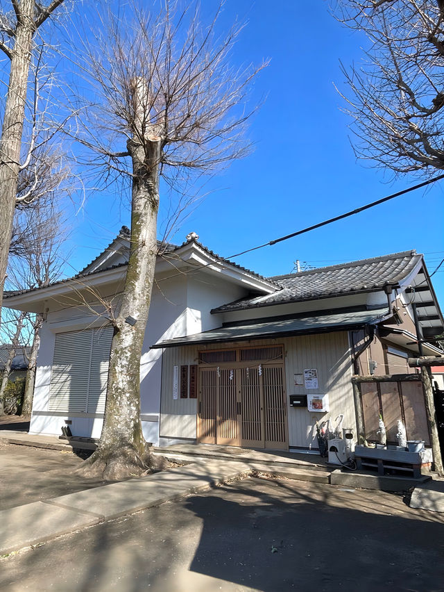 【本多八幡神社/東京都】朱塗りのコンクリート社殿と夫婦木