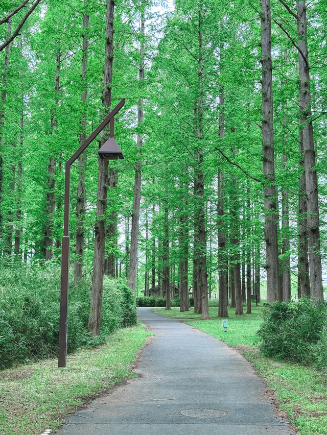 GWプランがないあなたにも楽しめる都内公園