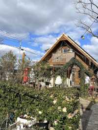 【福岡カフェ】どの部屋で食べるか迷ってしまう？緑に囲まれたガーデンカフェ🌿