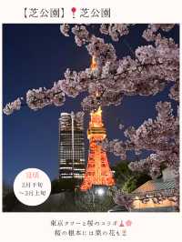 お花見桜スポット16選🌸【関東編】