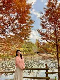 힐링도시 대표주자가 진주인 이유 🧡