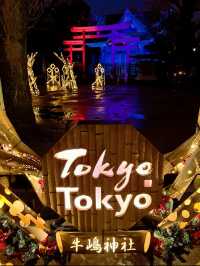 ✼東京✼今だけ!!初詣は幻想的な世界へ