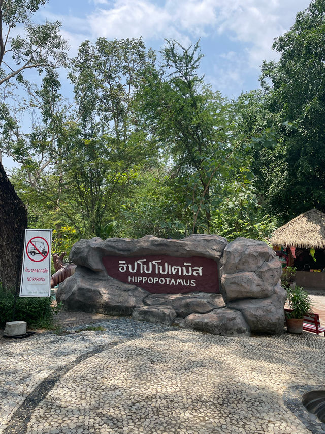ไปดูสัตว์ที่สวนสัตว์เชียงใหม่