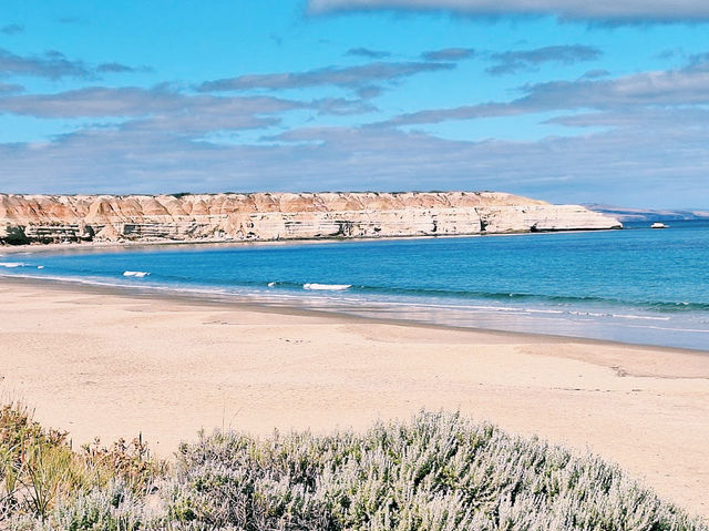Maslin Beach