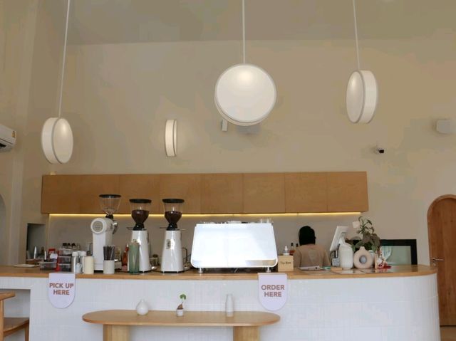 มาเล่นน้องแมวที่ Spring day cafe