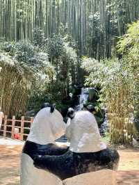 🎋 인생 첫 담양 여행 죽녹원 다녀왔어요!💚