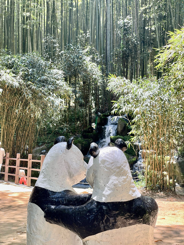 🎋 인생 첫 담양 여행 죽녹원 다녀왔어요!💚