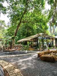☕️ นั่งชิลริมน้ำตก The Waterfall Farm Cafe