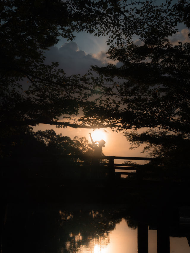 奈良の無料で楽しめる、絶景。知ってますか？