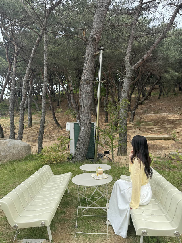 인생샷 남기러 방문해보세요 >< ✨