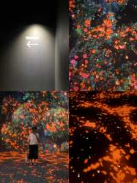 เดินเล่นถ่ายรูป เสพงานศิลป์ที่ Arte M Hongkong.