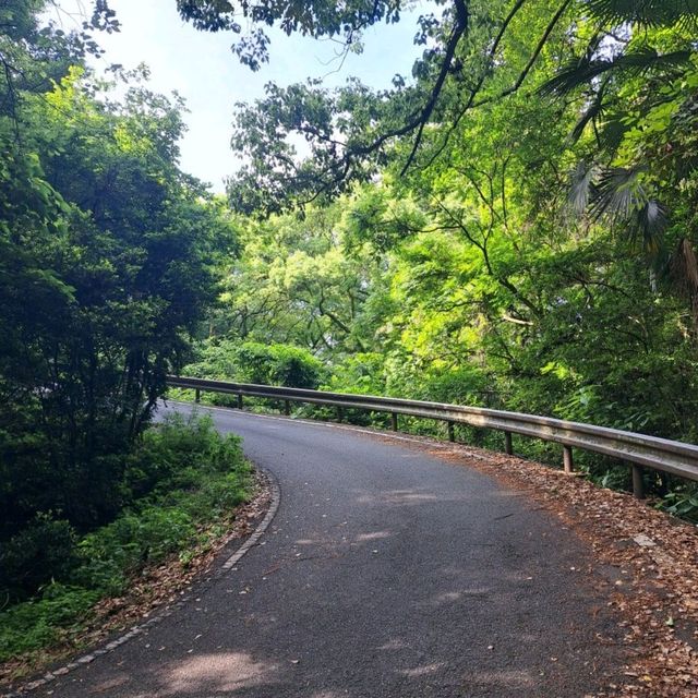 【香川県】朝も夕焼けも絶景のロケーション！観音寺市琴弾公園、銭形砂絵