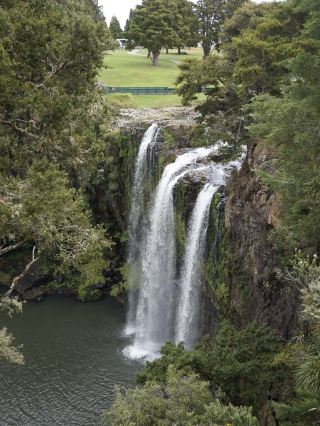 A.H. Reed Memorial Kauri Park