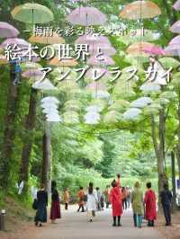 【埼玉】期間限定‼️都内から電車で行ける映えスポット✨※撮影の注意点付き