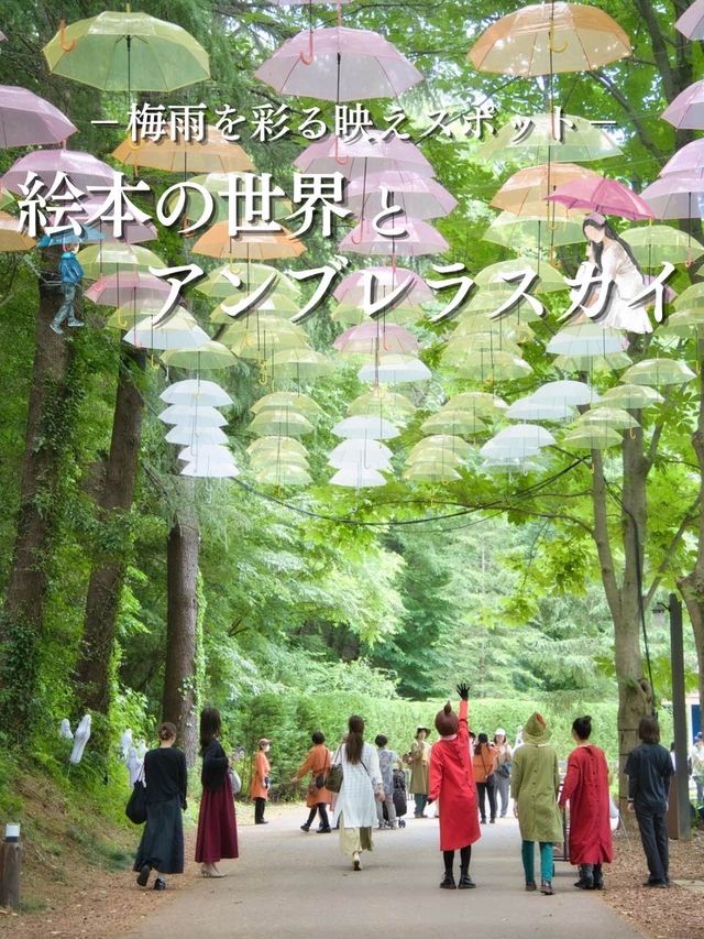 【埼玉】期間限定‼️都内から電車で行ける映えスポット✨※撮影の注意点付き