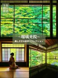 〜京都府〜暑くない！むしろ涼しい絶景🌱青紅葉のリフレクション