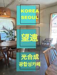 韓国で南国気分が味わえる？！🌴望遠にオシャレカフェ✨