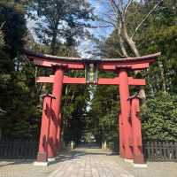 穏やかな気持ちになれる【弥彦神社】