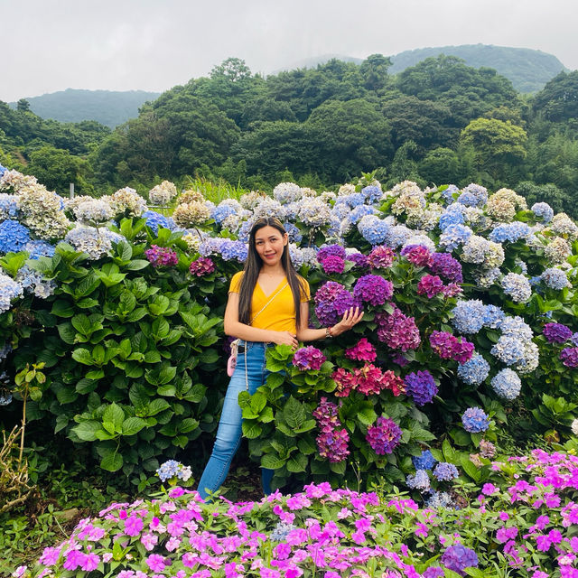 with beautiful flowers near the mountains❤️