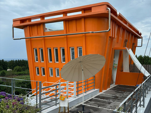 ❤︎🍊감귤 카페 감성 가득한 카페 더 콘테나