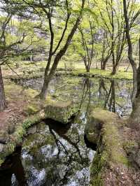 [長野]避暑地でサイクリング旅