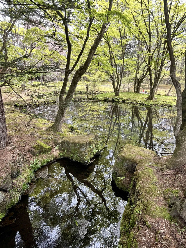[長野]避暑地でサイクリング旅