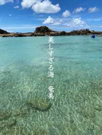 【奄美】南国！なんど行っても感動あやまるみさき観光公園
