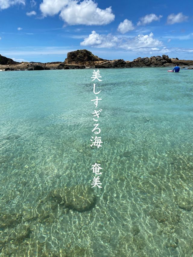 【奄美】南国！なんど行っても感動あやまるみさき観光公園