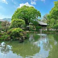 小網神社⛩️ 靜謐禪風
