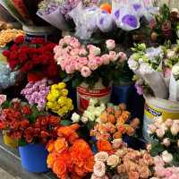What to do in Hanoi