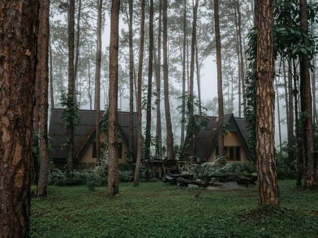 สวนป่าดอยบ่อหลวง