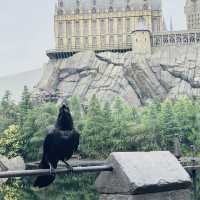🎢USJสวนสนุกที่ทุกคนที่ไปโอซาก้าต้องห้ามพลาด