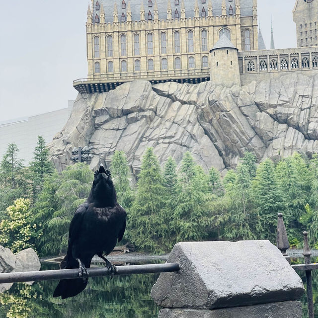 🎢USJสวนสนุกที่ทุกคนที่ไปโอซาก้าต้องห้ามพลาด