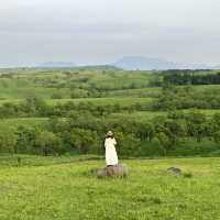 熊本＊奇石群の押戸石の丘とすずめの戸締まりの聖地