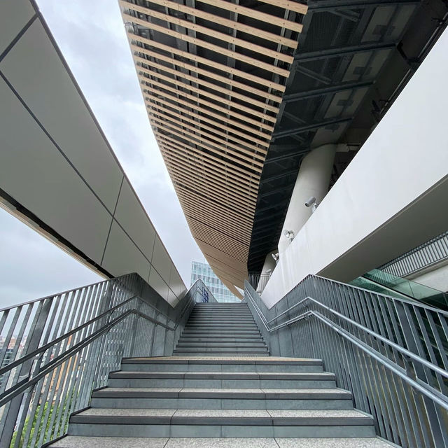 【隈研吾】国立競技場スタジアムツアー🏟で観る美建築