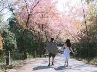 โครงการบ้านเล็กในป่าใหญ่ 