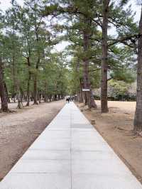 【島根/出雲大社】一度は行ってみたかった縁結びの神様が祀られている神社